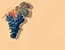 Bottle Label - Grapes (item #9800-40005)