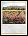 Bottle Label - Vineyard (item #9800-40028)