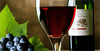 Lalvin Yeasts for Wine, Mead & Cider